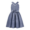 Blue Gingham Bow-Accent Sleeveless A-Line Dress