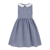 Blue Gingham Peter Pan Collar Sleeveless A-Line Dress