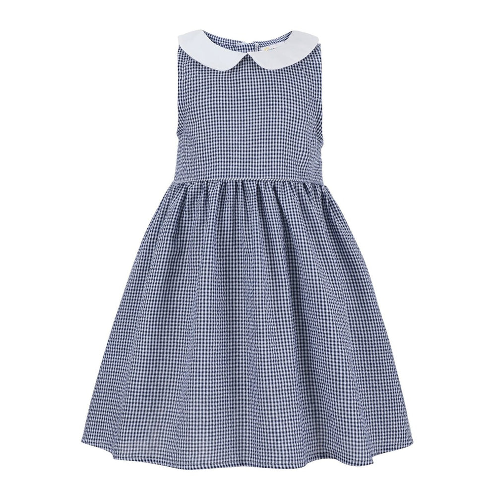 Blue Gingham Peter Pan Collar Sleeveless A-Line Dress