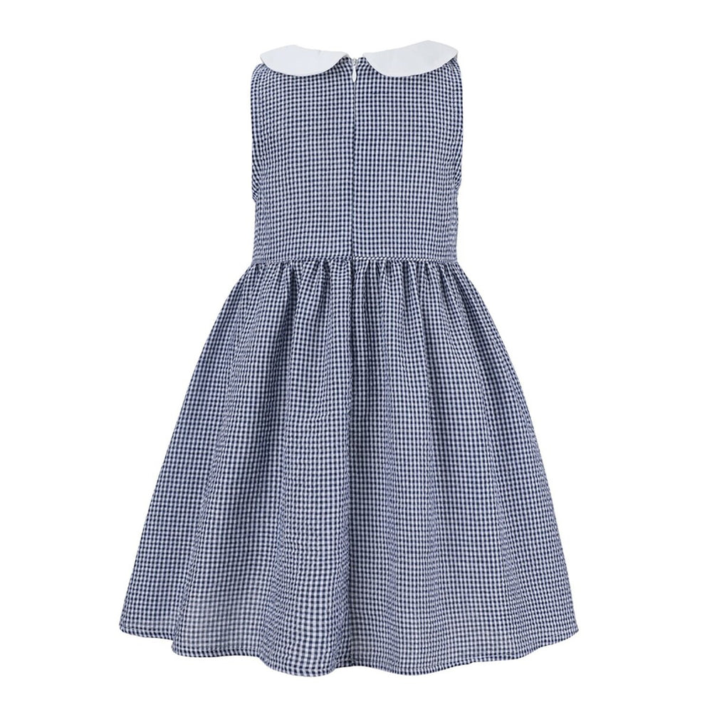 Blue Gingham Peter Pan Collar Sleeveless A-Line Dress