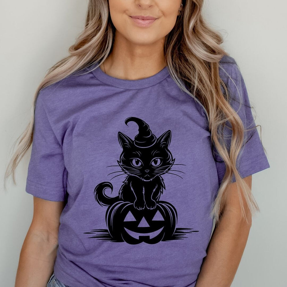 Cat Perched On A Pumpkin Short Sleeve Crewnneck Tee