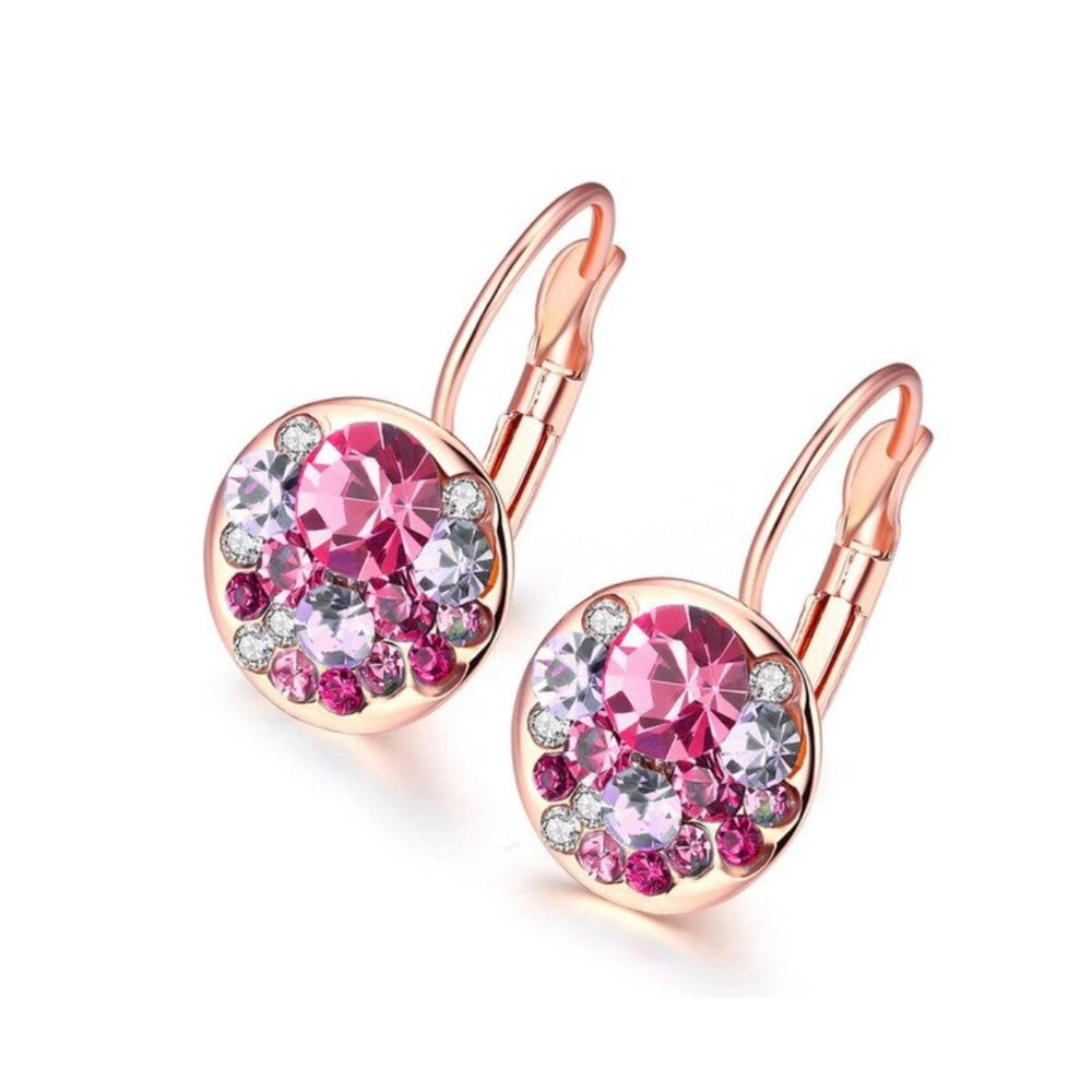 Circular Clustered Crystal Leverback Earrings