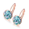 Circular Clustered Crystal Leverback Earrings