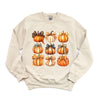 Coquette Fall Pumpkin Chart Graphic Sweatshirt