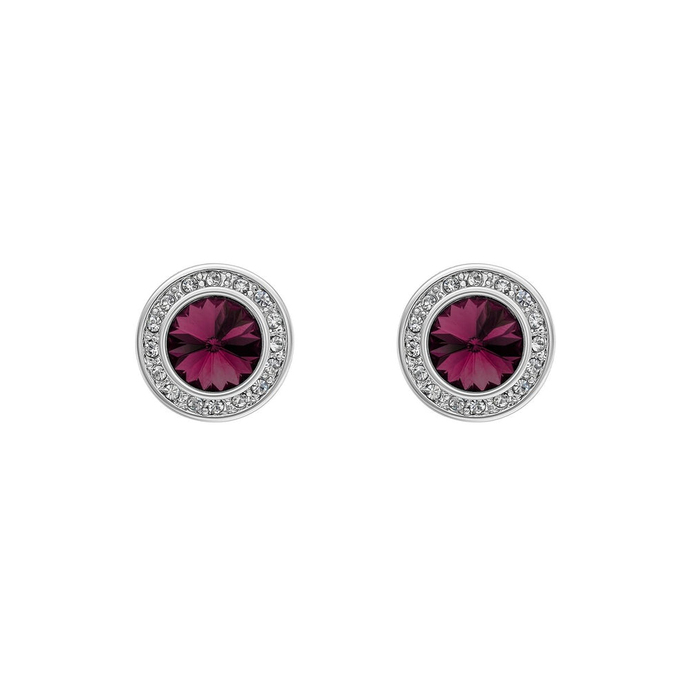 Crystal Classic Halo Stud Earrings