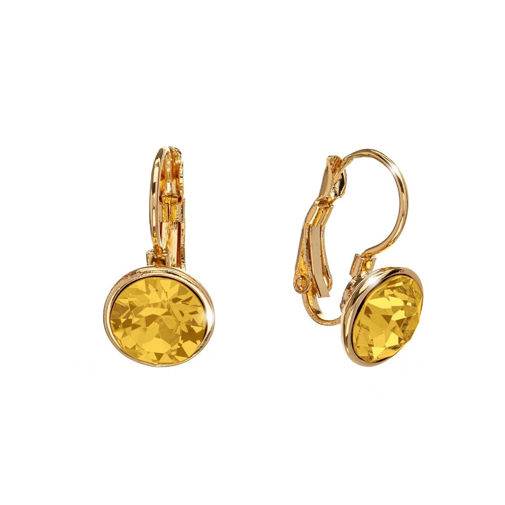 Crystal Leverback Everyday Earrings