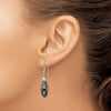 Curata 925 Sterling Silver 9x42mm Crystal and Hematite Hook Earrings