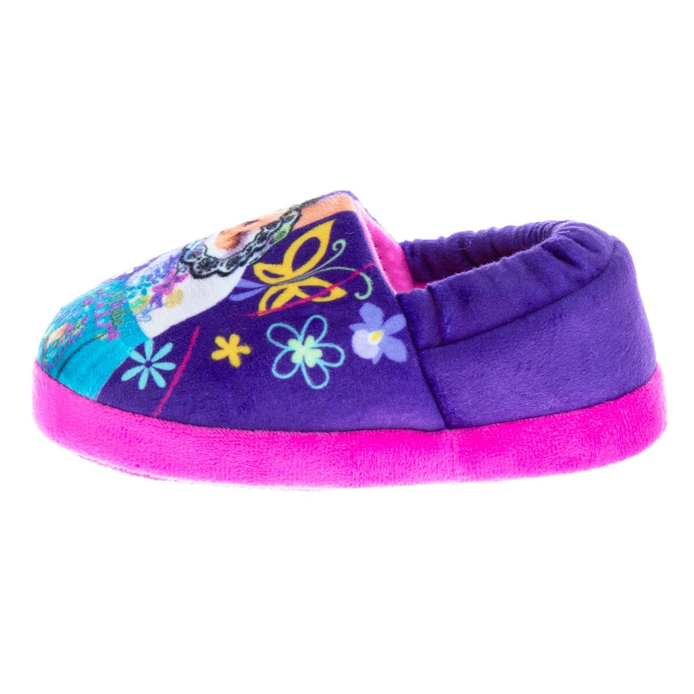 Disney Encanto Toddler Girls