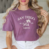 Embroidered San Diego Garment Dyed Tee