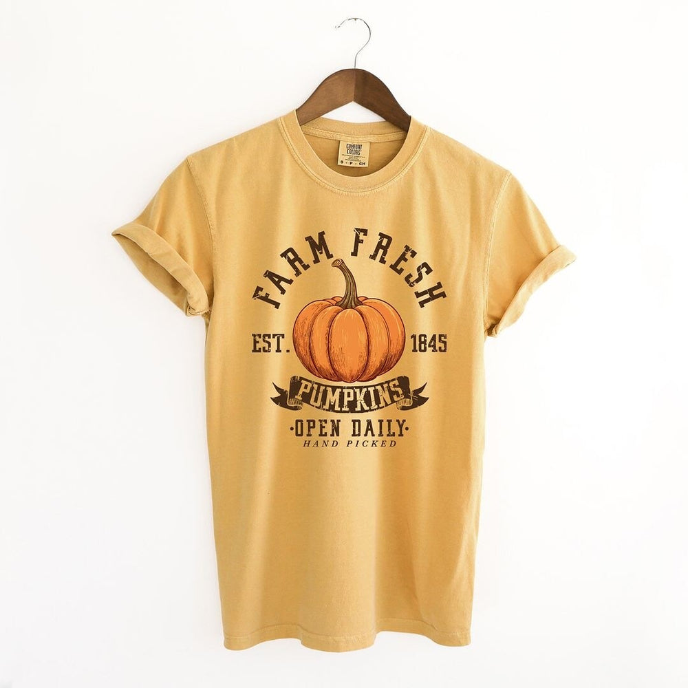 Farm Fresh Open Daily Garment Dyed Tee