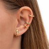 Goldtone Black Snake Earring And Cuff Set