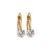 Goldtone Clear Cubic Zirconia Leverback Earrings