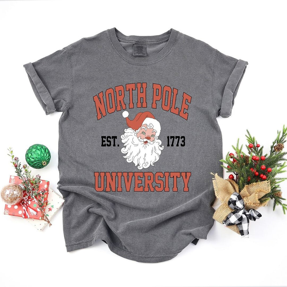 North Pole University 1773 Garment Dyed Tee