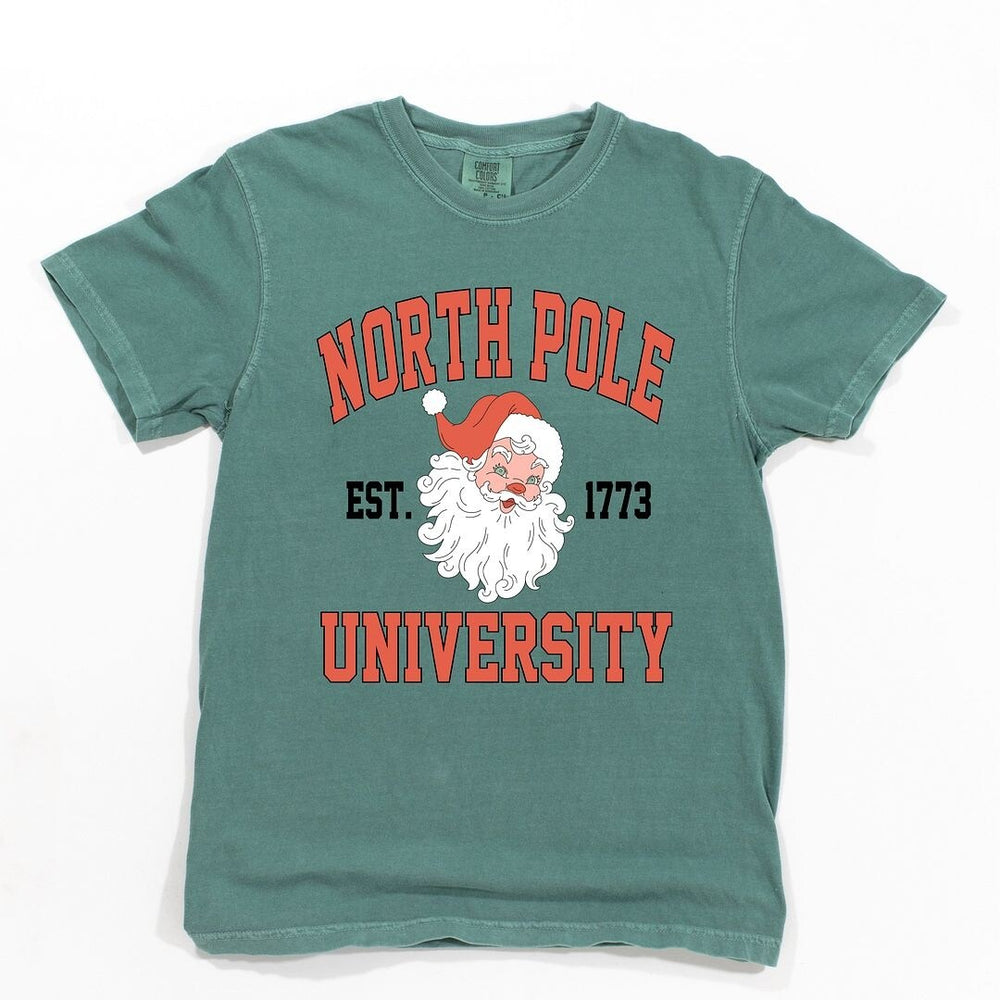 North Pole University 1773 Garment Dyed Tee