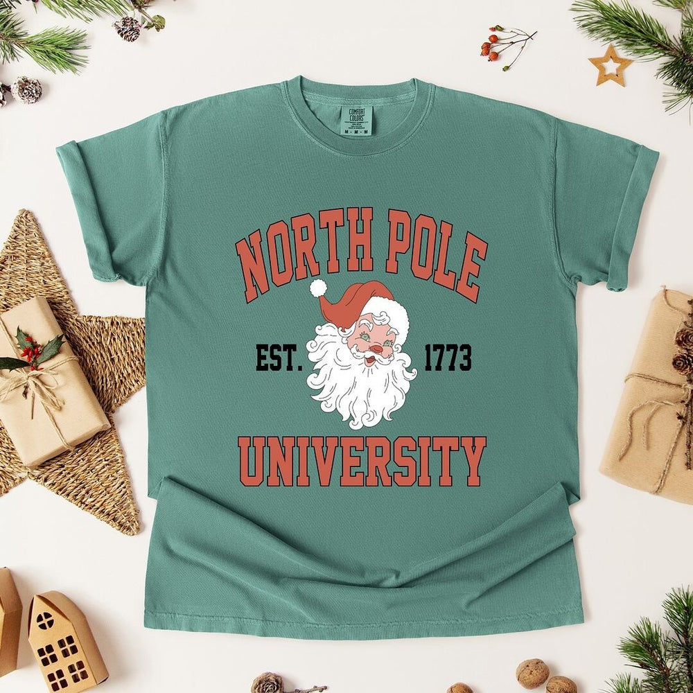 North Pole University 1773 Garment Dyed Tee