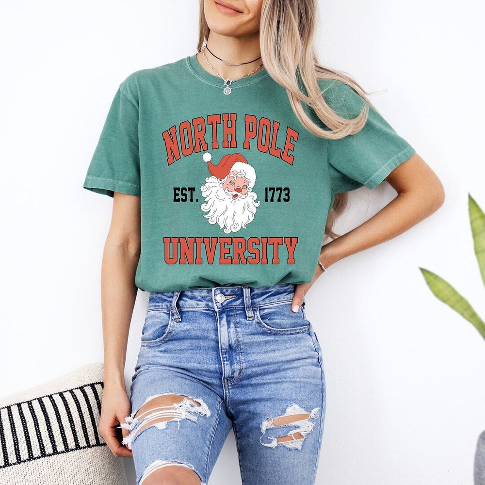 North Pole University 1773 Garment Dyed Tee