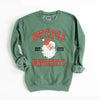 North Pole University 1773 Graphic Sweatshirt