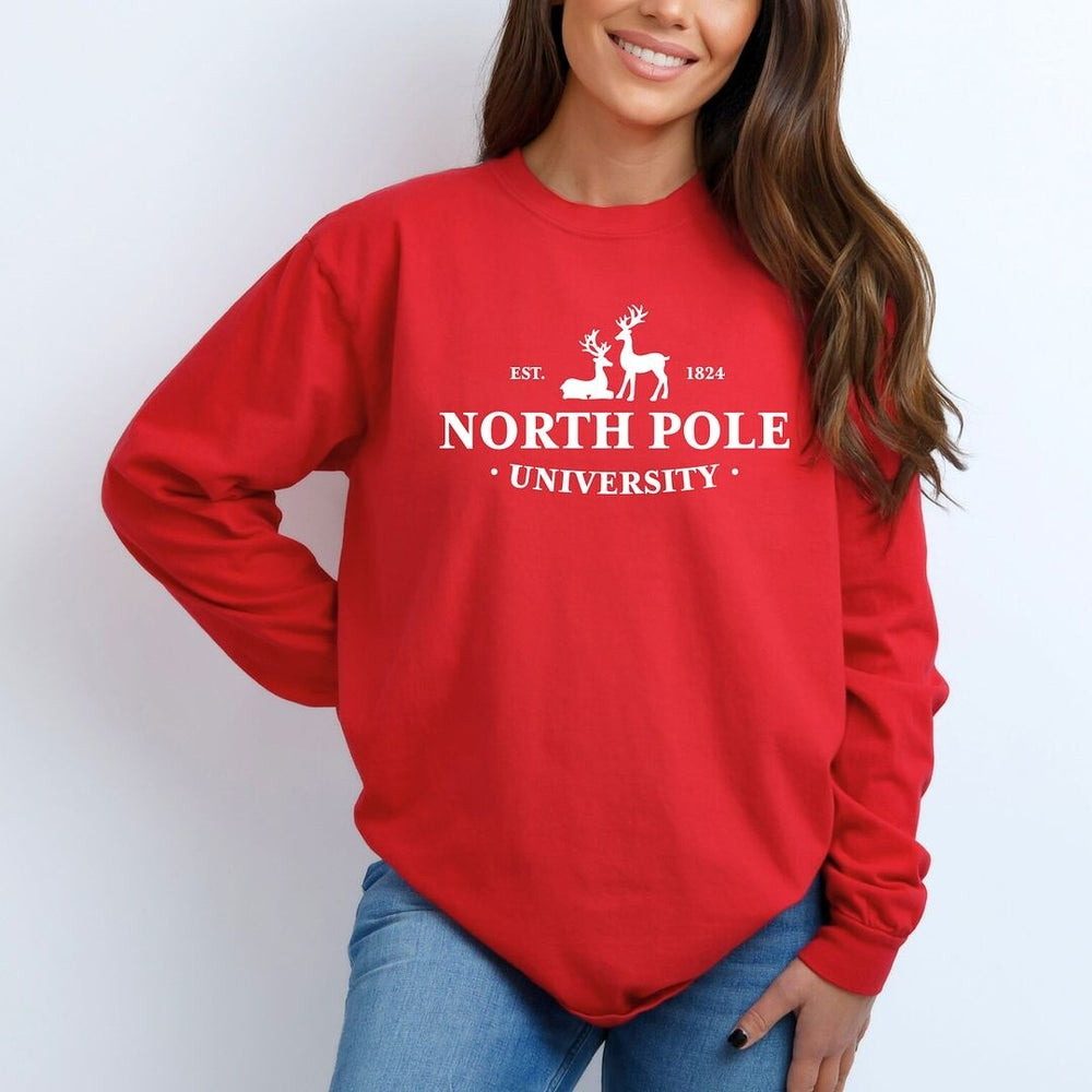 North Pole University Garment Dyed Long Sleeve