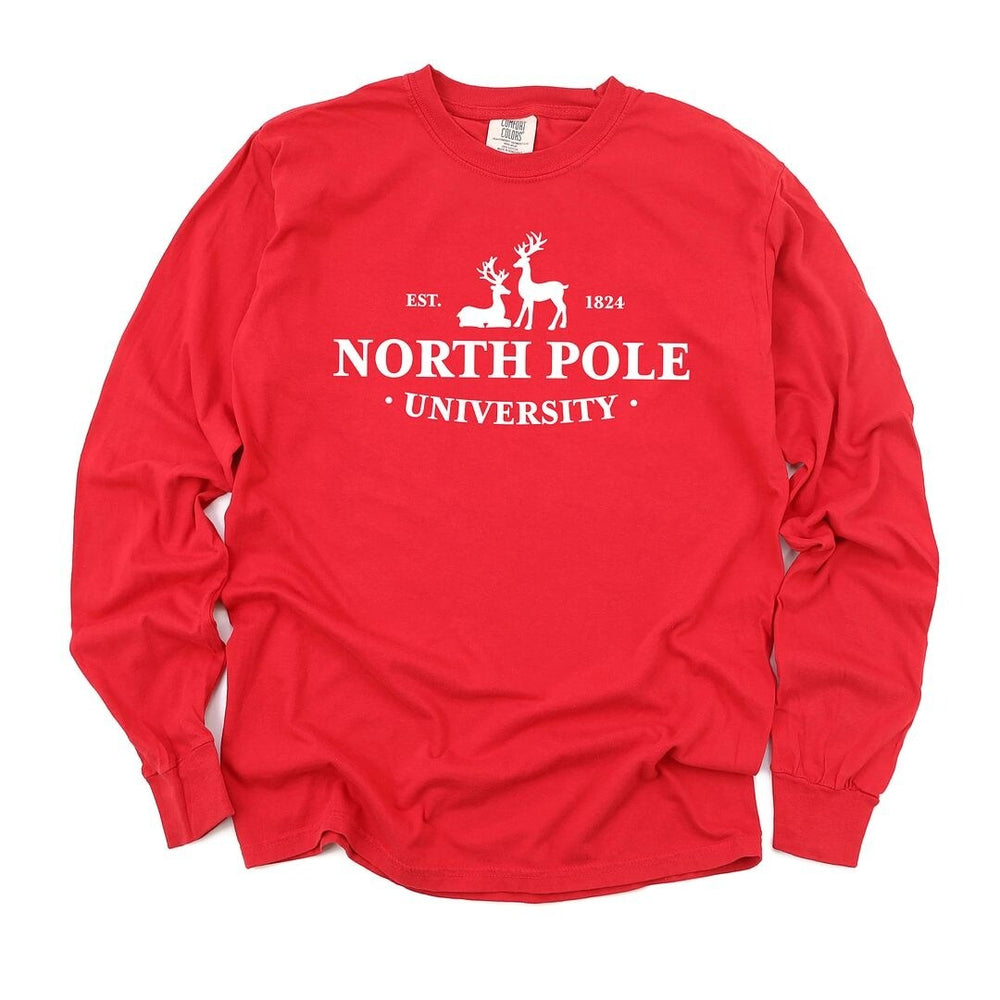 North Pole University Garment Dyed Long Sleeve