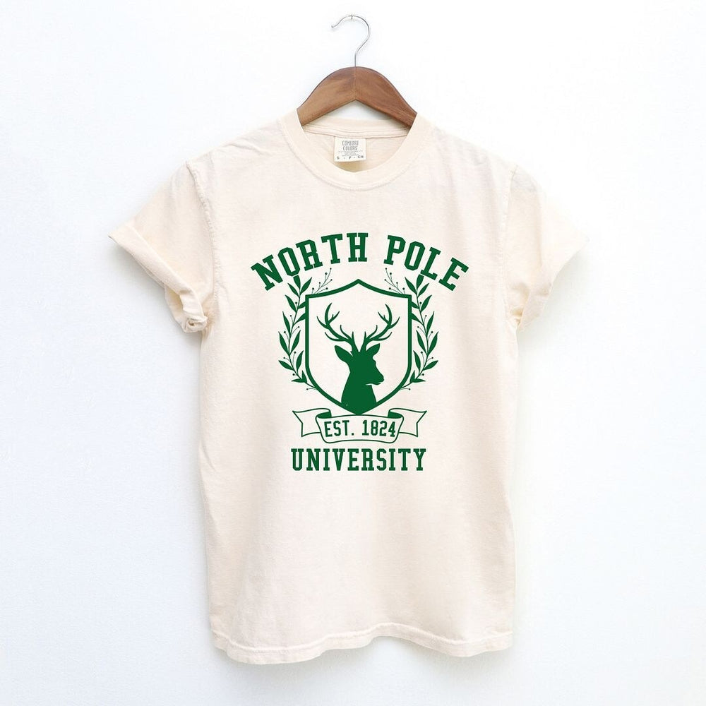 North Pole University Reindeer Garment Dyed Tee