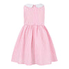 Pink Gingham Peter Pan Collar Sleeveless A-Line Dress