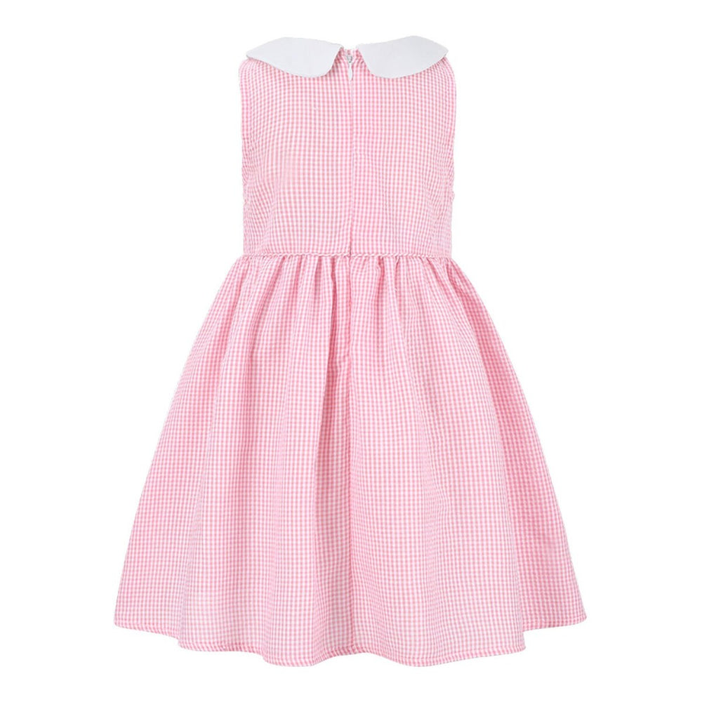 Pink Gingham Peter Pan Collar Sleeveless A-Line Dress