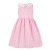 Pink Gingham Peter Pan Collar Sleeveless A-Line Dress