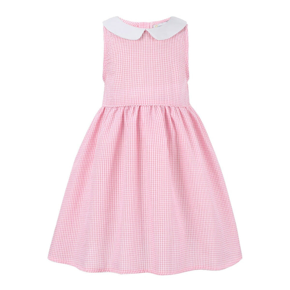 Pink Gingham Peter Pan Collar Sleeveless A-Line Dress