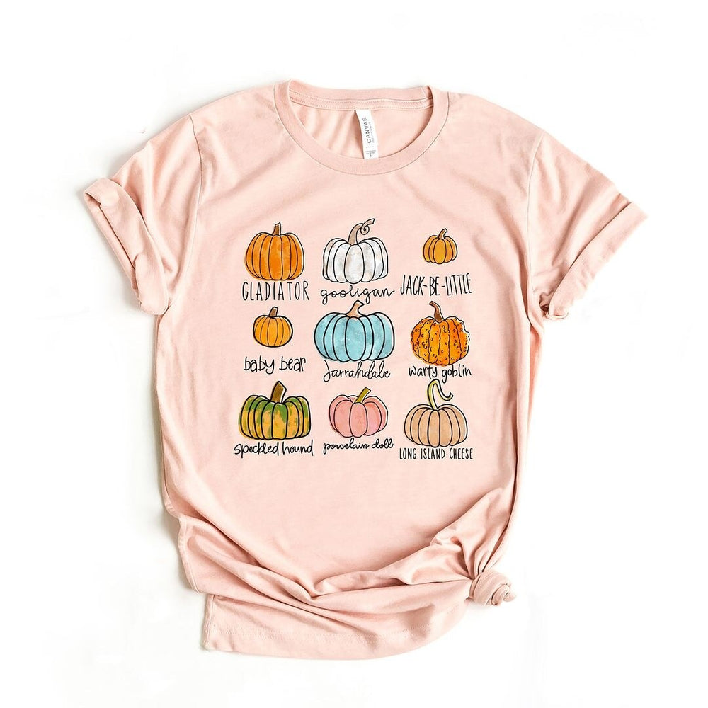 Pumpkin Chart Short Sleeve Tee