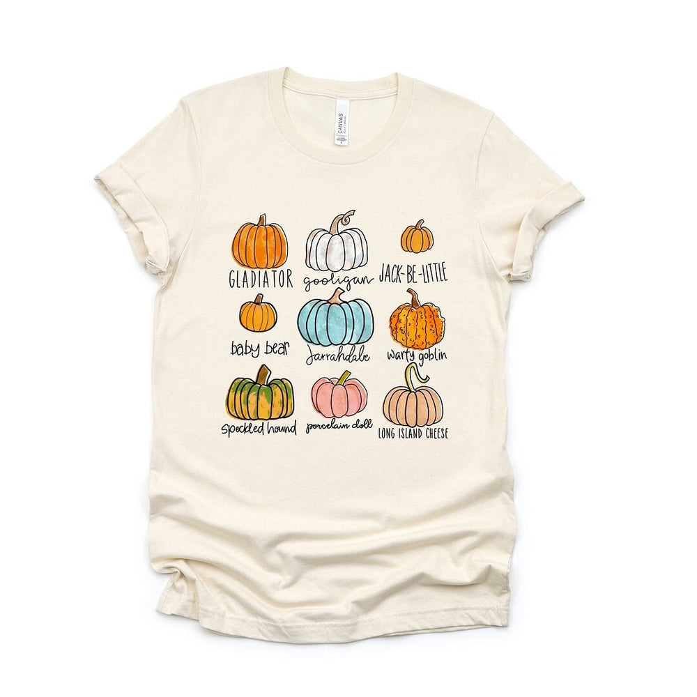 Pumpkin Chart Short Sleeve Tee