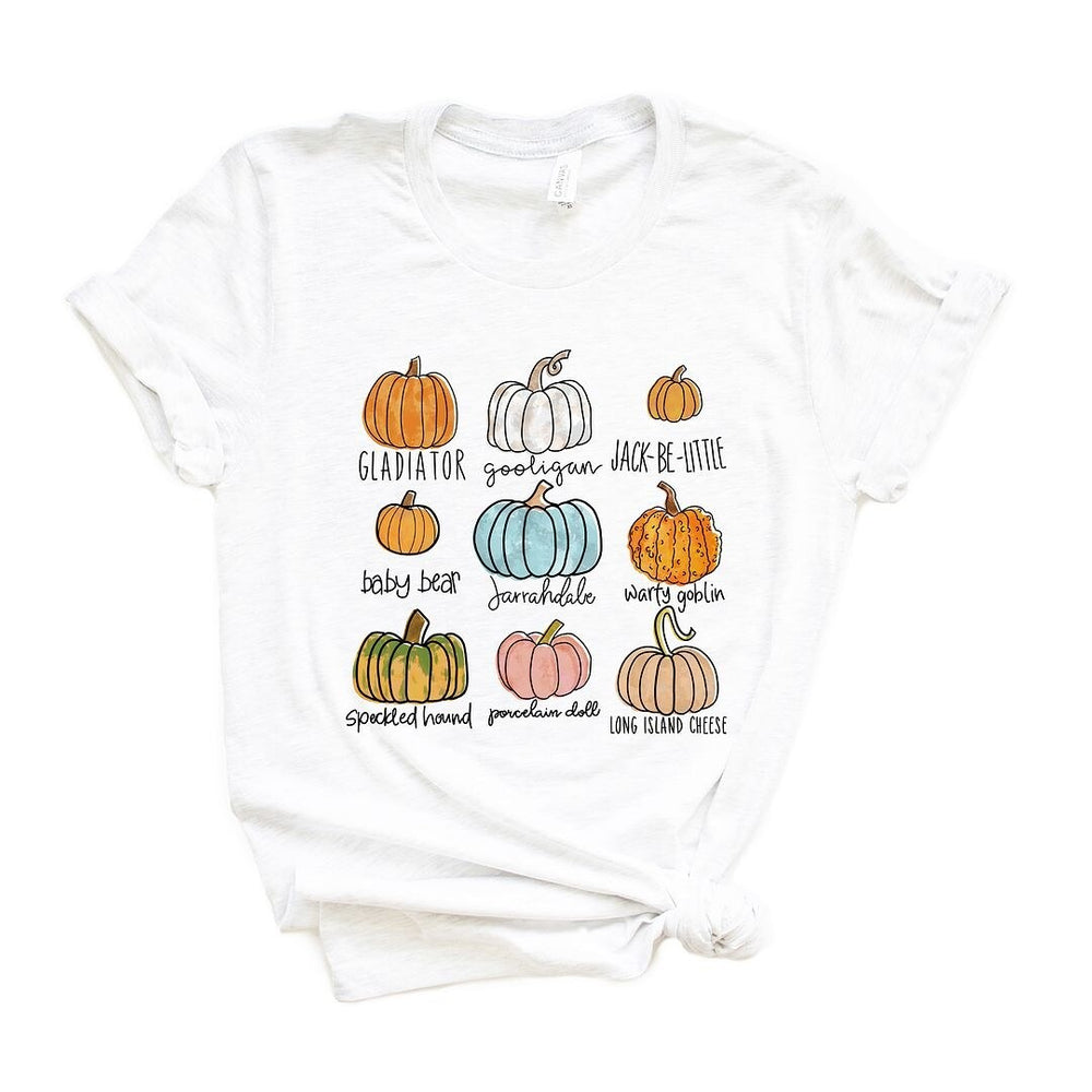 Pumpkin Chart Short Sleeve Tee