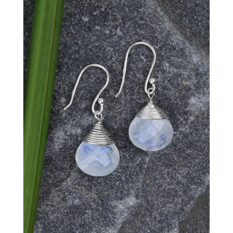 Zulily earrings online