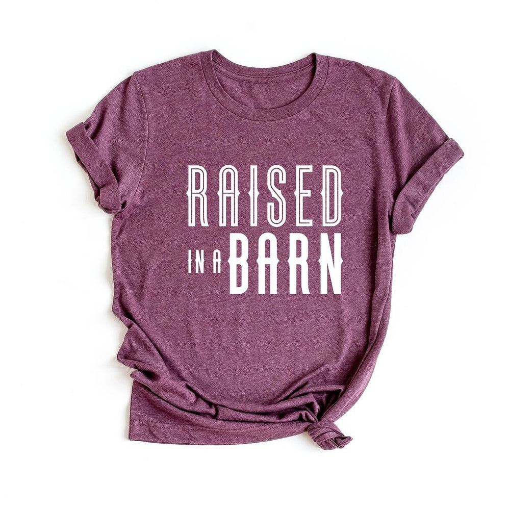 Raised In A Barn Short Sleeve Crewnneck Tee