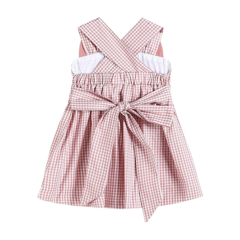 Rose Gingham Little Piggy Sleeveless A-Line Dress