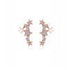 Rose Goldtone Clear Cubic Zirconia Stars Earrings