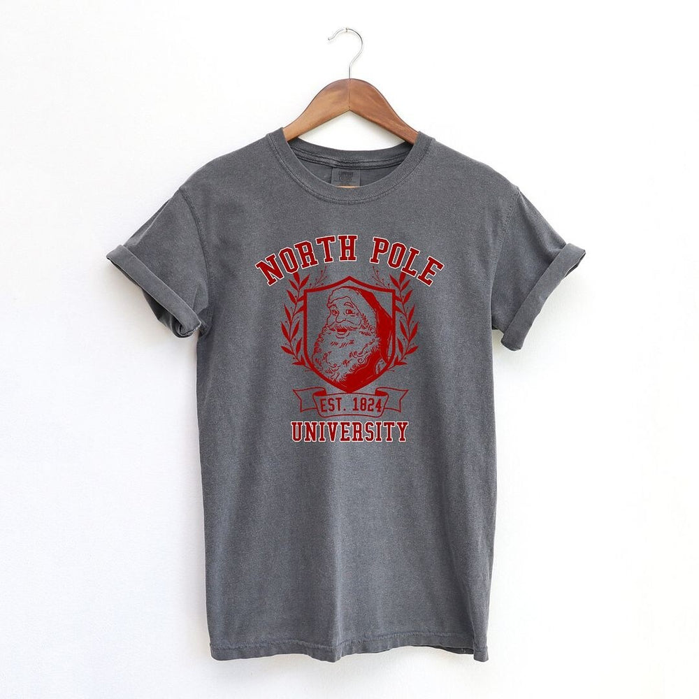 Santa North Pole University Garment Dyed Tee