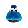 Sesame Street Toddler Kids Slippers