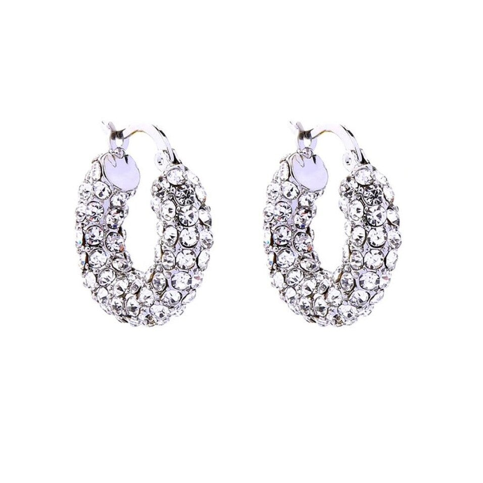 Silvertone Clear Crystal Hoop Earrings