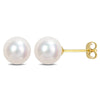 Sofia B. 7mm Cultured Freshwater Pearl Stud Earrings 14k Yellow Gold