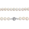 Sofia B. 8-9mm Cultured Freshwater Pearl Necklace and Elastic Bracelet Set Goldtone Clasp