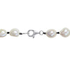 Sofia B. Cultured Freshwater Pearl Black Spinel Beaded Layering Necklace Sterling Silver Clasp