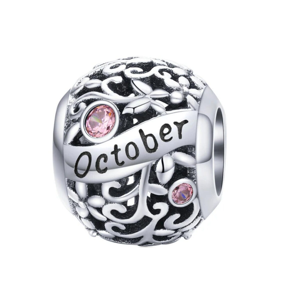 Sterling Silver Birthstone Charm