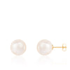 Stud Push back Earrings Pearl