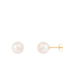 Stud Push back Earrings Pearl