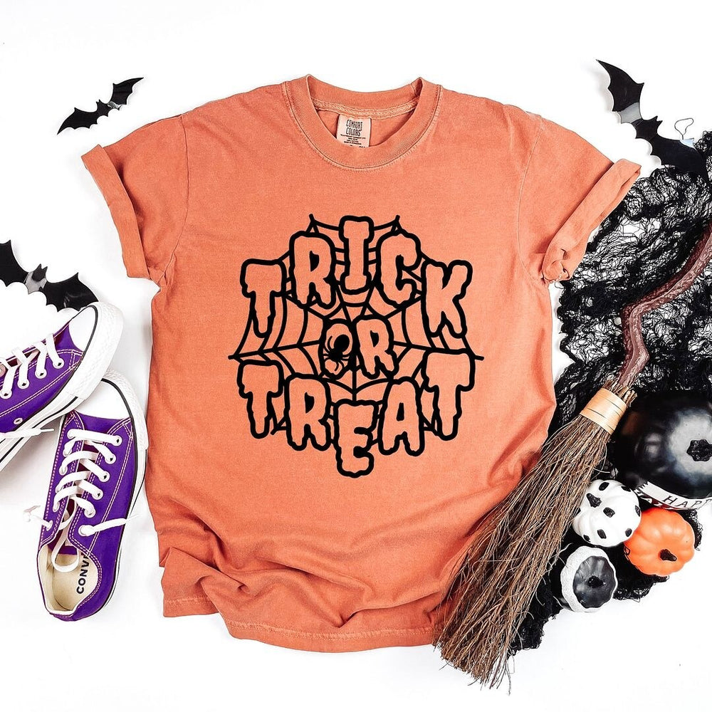 Trick Or Treat Web Garment Dyed Tee