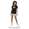 University of Iowa Distressed Primary Women