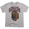 University of Montana Distressed Primary Kids T Shirt for Youth Boys and Girls