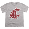 Washington State University Distressed Primary Kids T Shirt for Youth Boys and Girls